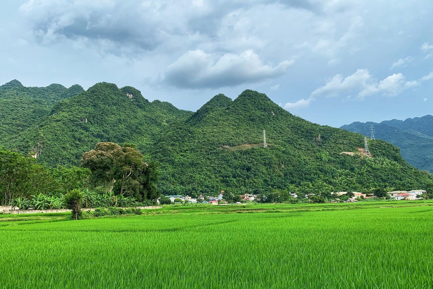 Người Việt nam đi du lịch Việt nam: về với tây bắc